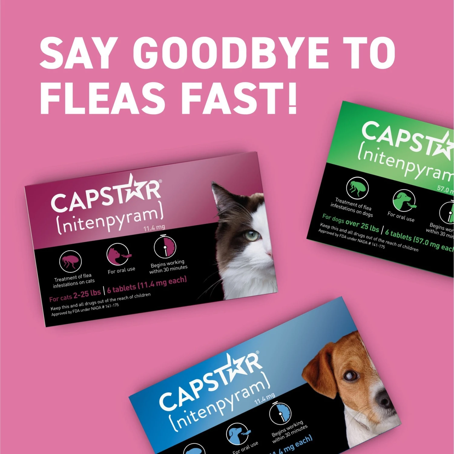 Capstar Flea Oral Treatment For Cats, 2-25 Lbs 11 Capstar Flea Oral Treatment For Cats, 2-25 Lbs - Image 9