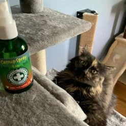 Meowijuana Catnip Spray -Trixie || Catit || Nature's Miracle Shop 156570 PT6. AC SS1800 V1634761574