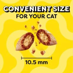 Temptations Classic Rockin' Lobster Flavor Soft & Crunchy Cat Treats -Trixie || Catit || Nature's Miracle Shop 156766 PT2. AC SS1800 V1574090227