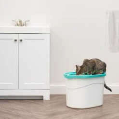IRIS USA Large Round Top Entry Cat Litter Box & Scoop -Trixie || Catit || Nature's Miracle Shop 156874 PT2. AC SS1800 V1680811968
