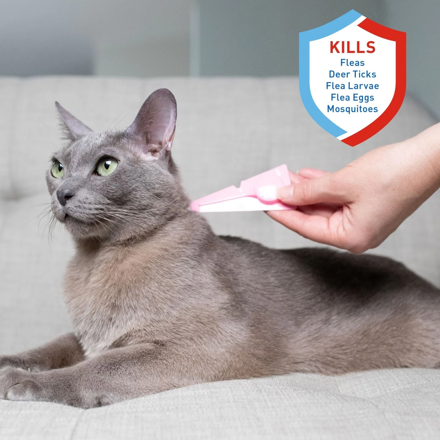 Adams® Adams Flea & Tick Spot Treatment For Cats, Over 5 Lbs 4 Adams® Adams Flea & Tick Spot Treatment For Cats, Over 5 Lbs - Image 2