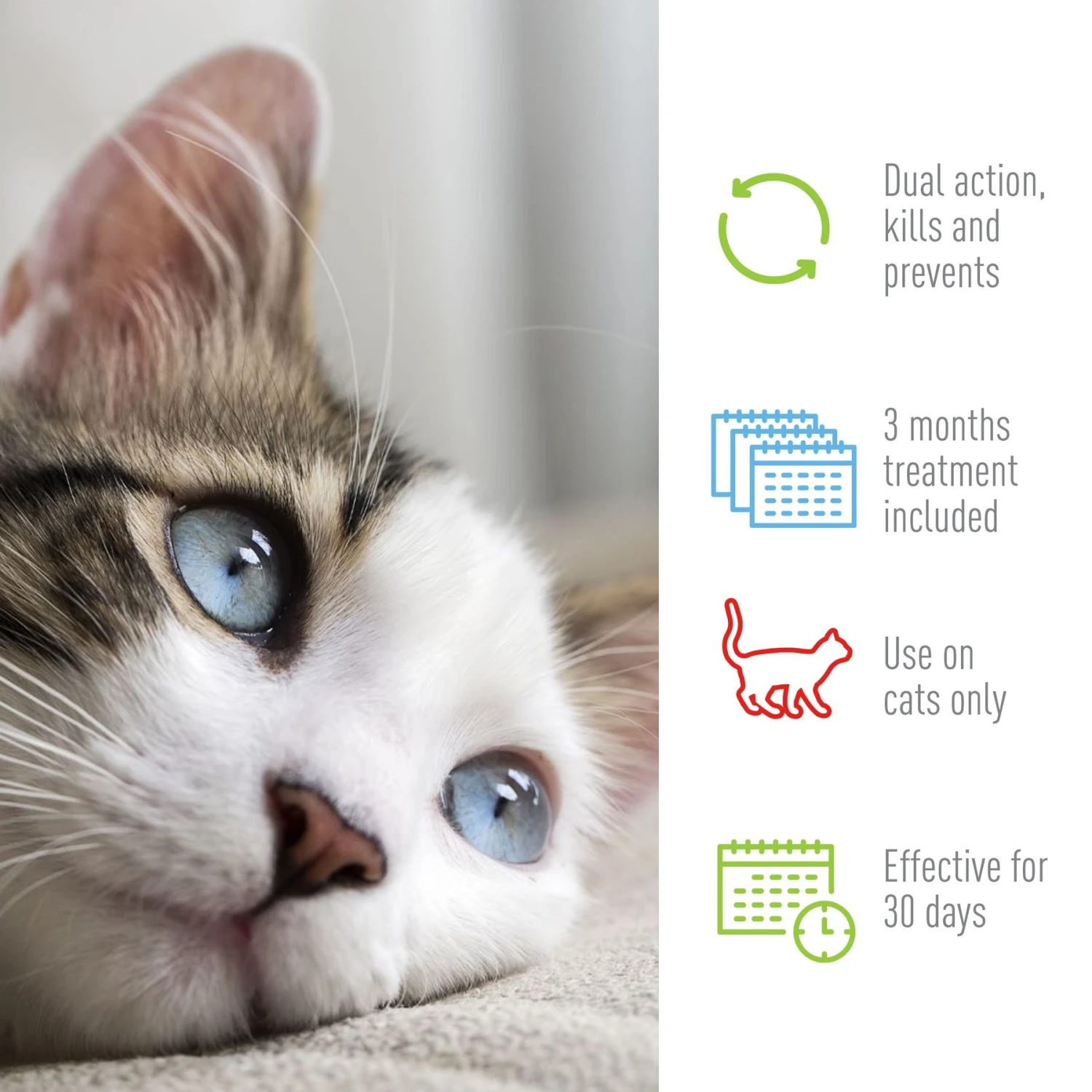 Adams® Adams Flea & Tick Spot Treatment For Cats, Over 5 Lbs 6 Adams® Adams Flea & Tick Spot Treatment For Cats, Over 5 Lbs - Image 4