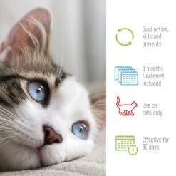 Adams® Adams Flea & Tick Spot Treatment For Cats, 2.5-5 Lbs -Trixie || Catit || Nature's Miracle Shop 162501 PT3. AC SS1800 V1679080850