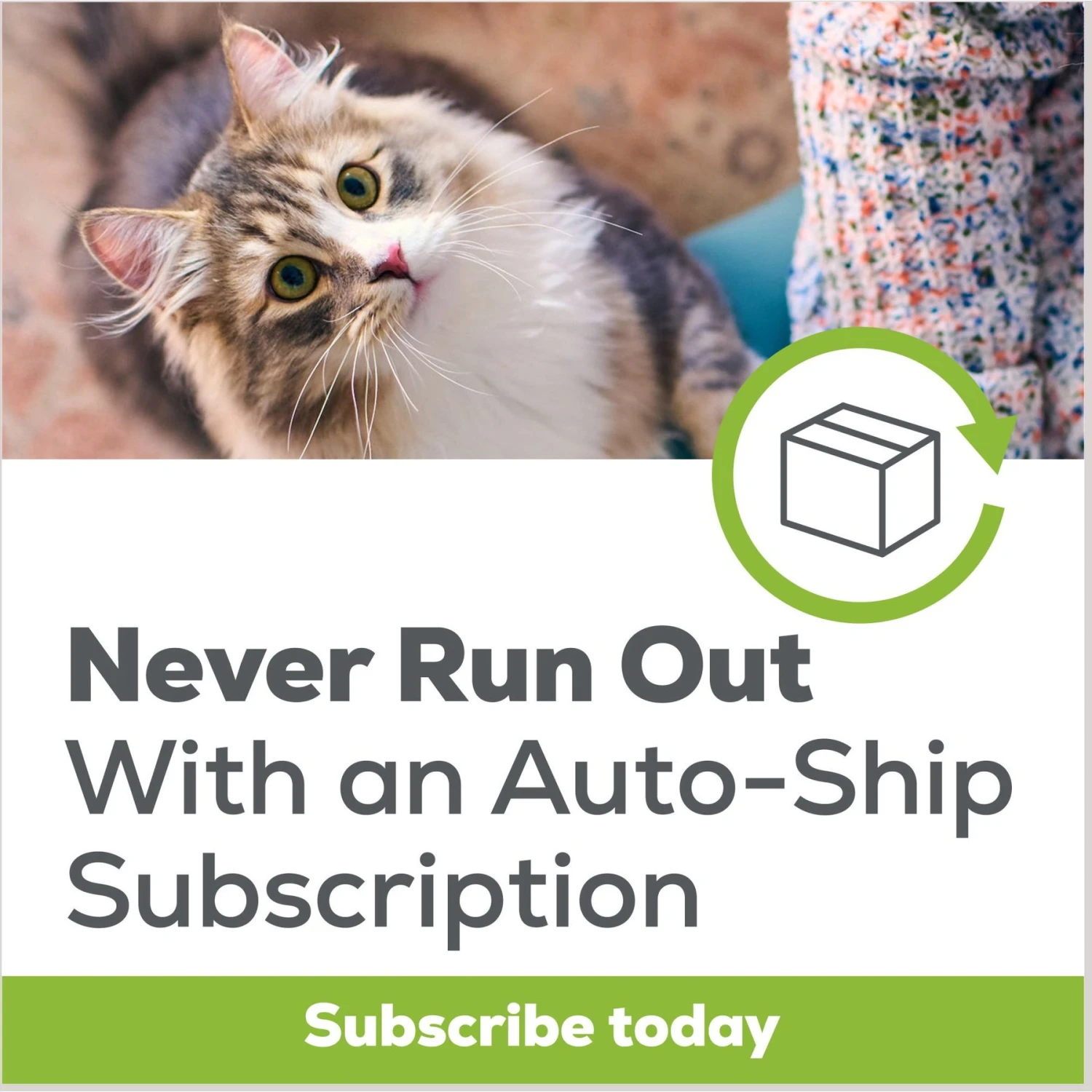 Tidy Max Lightweight Instant Action Scented Clumping Clay Cat Litter 9 Tidy Max Lightweight Instant Action Scented Clumping Clay Cat Litter - Image 7