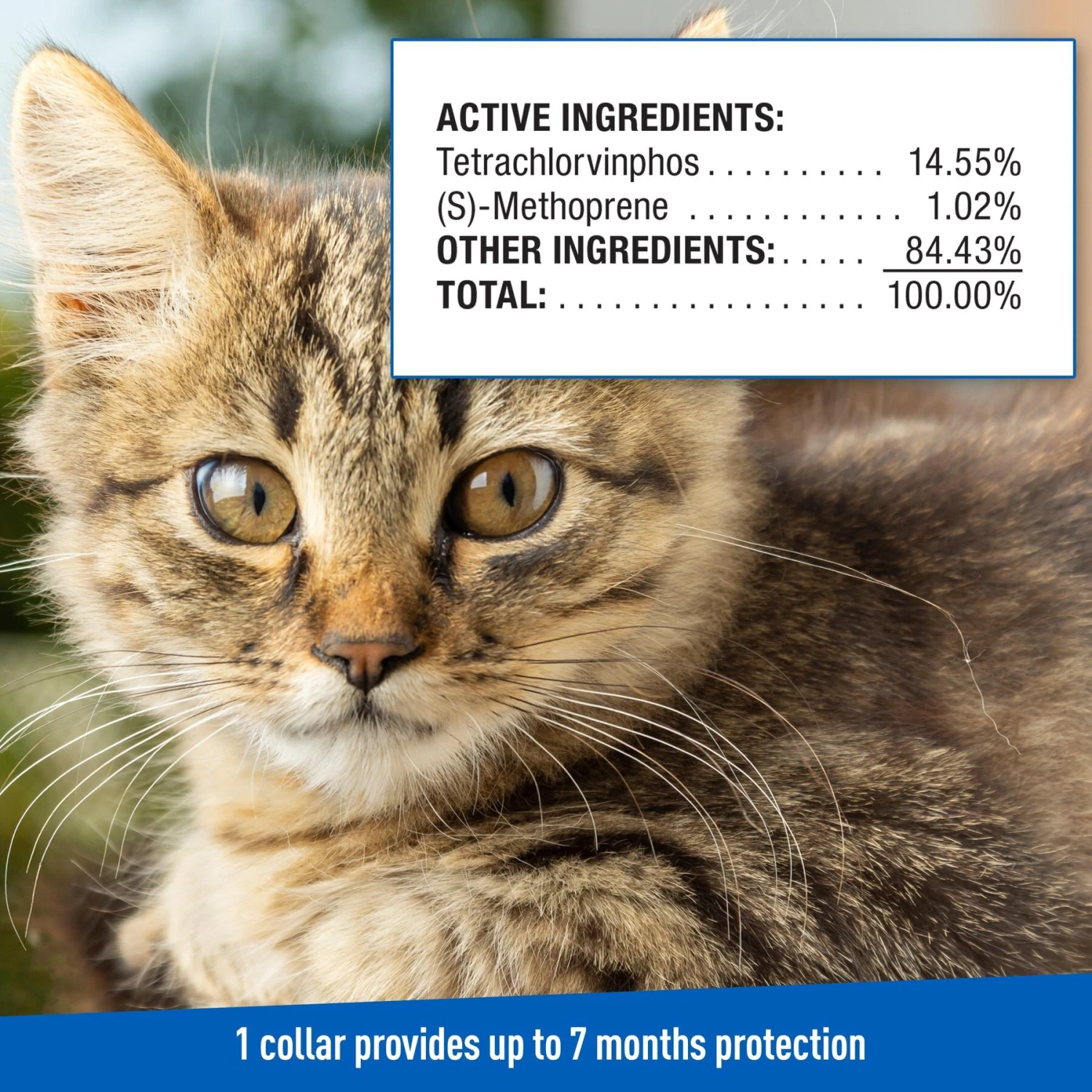 Adams® Adams Plus Flea & Tick Collar For Cats & Kittens 10 Adams® Adams Plus Flea & Tick Collar For Cats & Kittens - Image 8