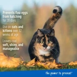 Adams® Adams Plus Sensitive Skin Formula Flea & Tick Foaming Cat Shampoo, 10-oz Bottle -Trixie || Catit || Nature's Miracle Shop 164748 PT3. AC SS1800 V1658766727