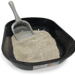 Fresh Kitty Deluxe Cat Litter Scoop, Color Varies 12 Fresh Kitty Deluxe Cat Litter Scoop, Color Varies -Trixie || Catit || Nature's Miracle Shop 166730 PT4. AC SS1800 V1556225242
