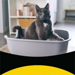 Tidy Max Lightweight Glade Clear Springs Scented Lightweight Clay Cat Litter -Trixie || Catit || Nature's Miracle Shop 175483 PT2. AC SS1800 V1695847298