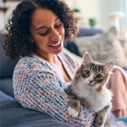 Tidy Max Lightweight Glade Clear Springs Scented Lightweight Clay Cat Litter -Trixie || Catit || Nature's Miracle Shop 175483 PT3. AC SS1800 V1695847304