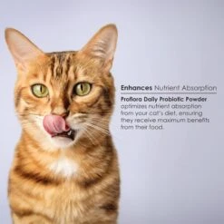 Proflora Powder Digestive Supplement For Cats 13 Proflora Powder Digestive Supplement For Cats -Trixie || Catit || Nature's Miracle Shop 175609 PT2. AC SS1800 V1686941160