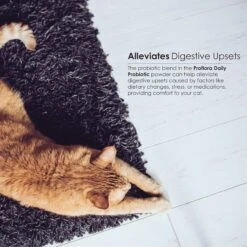 Proflora Powder Digestive Supplement For Cats 17 Proflora Powder Digestive Supplement For Cats -Trixie || Catit || Nature's Miracle Shop 175609 PT6. AC SS1800 V1686941640