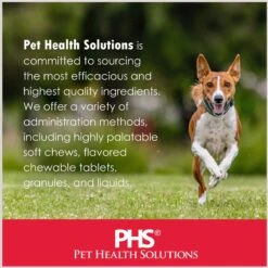 Felisyl Chicken Flavored Soft Chew Immune Supplement For Cats 16 Felisyl Chicken Flavored Soft Chew Immune Supplement For Cats -Trixie || Catit || Nature's Miracle Shop 175648 PT6. AC SS1800 V1677776605