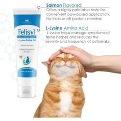 Felisyl Salmon Flavored Gel Immune Supplement For Cats -Trixie || Catit || Nature's Miracle Shop 175650 PT6. AC SS1800 V1677776601