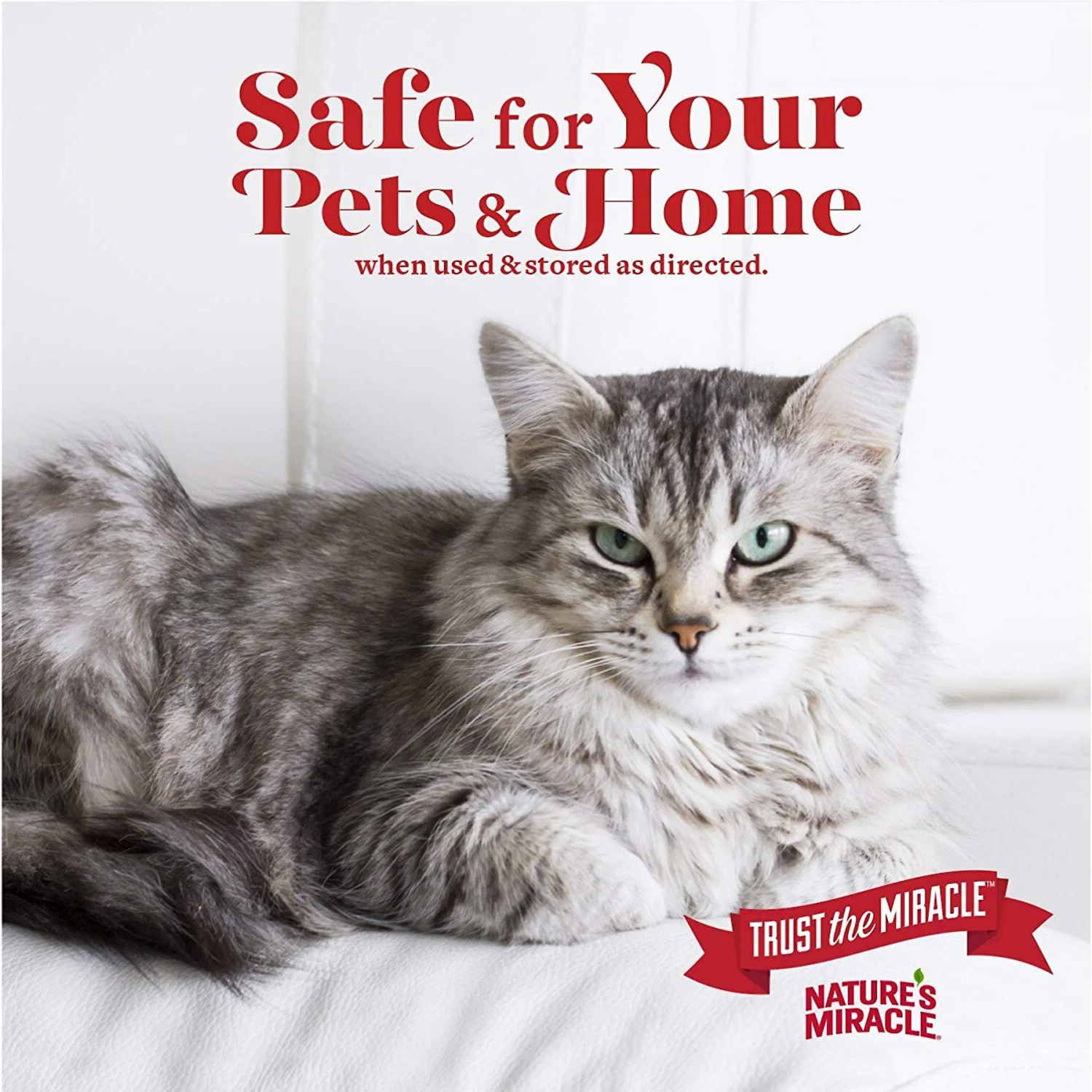 Nature's Miracle Cat Enzymatic Stain Remover & Odor Eliminator Refill, Melon Burst Scent, 1-gal Bottle 7 Nature's Miracle Cat Enzymatic Stain Remover & Odor Eliminator Refill, Melon Burst Scent, 1-gal Bottle - Image 5