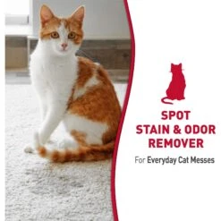 Nature's Miracle Cat Enzymatic Stain Remover & Odor Eliminator Refill, 1-gal Bottle -Trixie || Catit || Nature's Miracle Shop 178085 PT7. AC SS1800 V1701116413