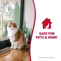 Nature's Miracle Cat Enzymatic Stain Remover & Odor Eliminator Refill, 1-gal Bottle -Trixie || Catit || Nature's Miracle Shop 178085 PT8. AC SS1800 V1701116362