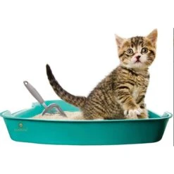 SunGrow Non-Stick Metal Scoop Kitty Box Cat Litter Scooper -Trixie || Catit || Nature's Miracle Shop 179562 PT2. AC SS1800 V1561406825