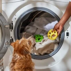 FurZapper Dog & Cat Hair Removal Tool 9 FurZapper Dog & Cat Hair Removal Tool -Trixie || Catit || Nature's Miracle Shop 179964 PT4. AC SS1800 V1683922933