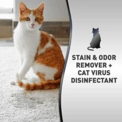 Nature's Miracle Advanced Platinum Cat Antibacterial Stain Remover & Odor Eliminator Spray, 32-oz Bottle -Trixie || Catit || Nature's Miracle Shop 182979 PT2. AC SS1800 V1701116417