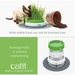 Catit Senses 2.0 Cat Grass Planter -Trixie || Catit || Nature's Miracle Shop 191564 PT2. AC SS1800 V1628093795