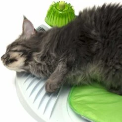 Catit Catnip Shaker, 0.53-oz 14 Catit Catnip Shaker, 0.53-oz -Trixie || Catit || Nature's Miracle Shop 191600 PT5. AC SS1800 V1628096487