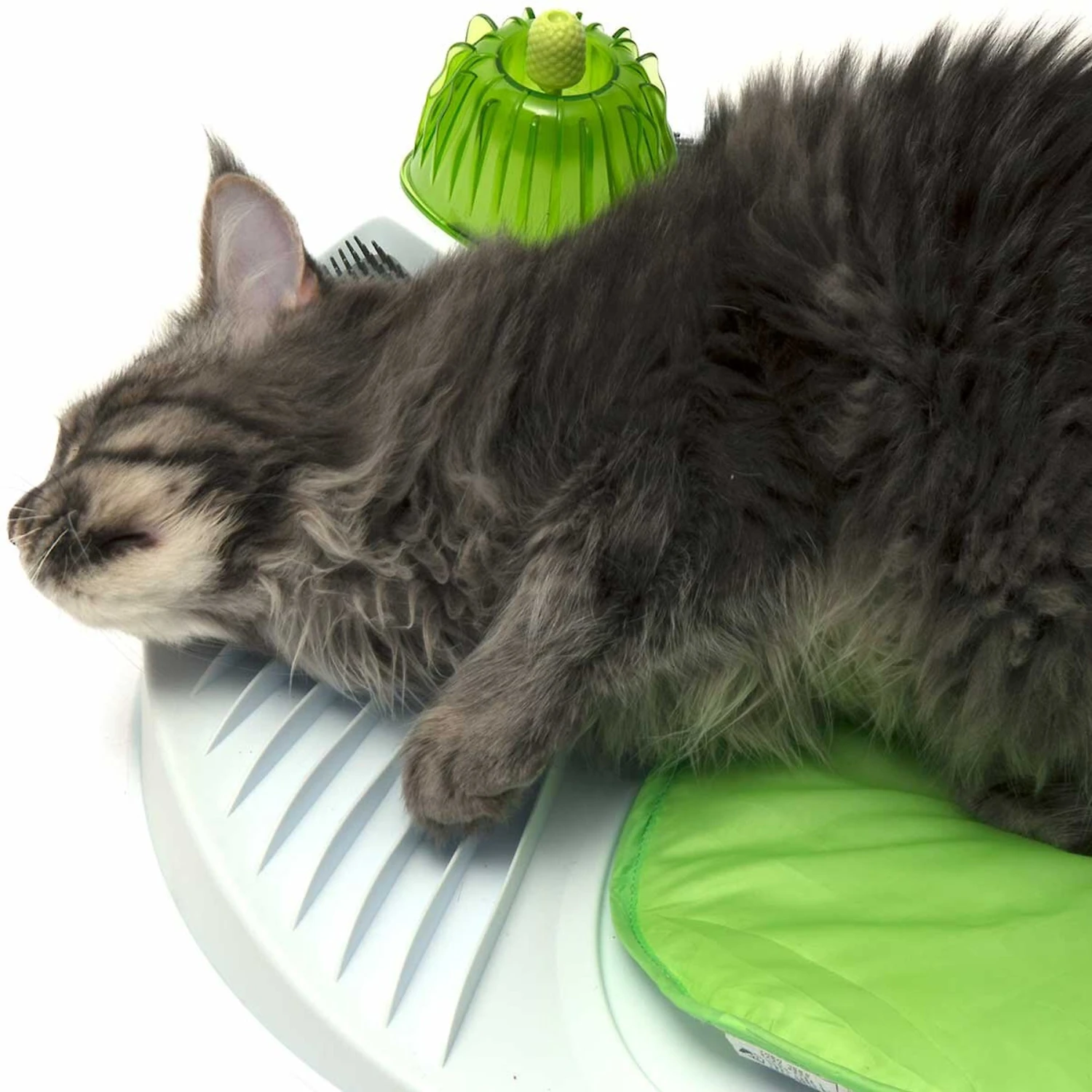 Catit Catnip Shaker, 0.53-oz 8 Catit Catnip Shaker, 0.53-oz - Image 6