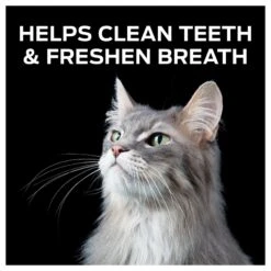 Purina Pro Plan Veterinary Diets Crunchy Bites Crunchy Cat Treats -Trixie || Catit || Nature's Miracle Shop 194656 PT5. AC SS1800 V1567021920