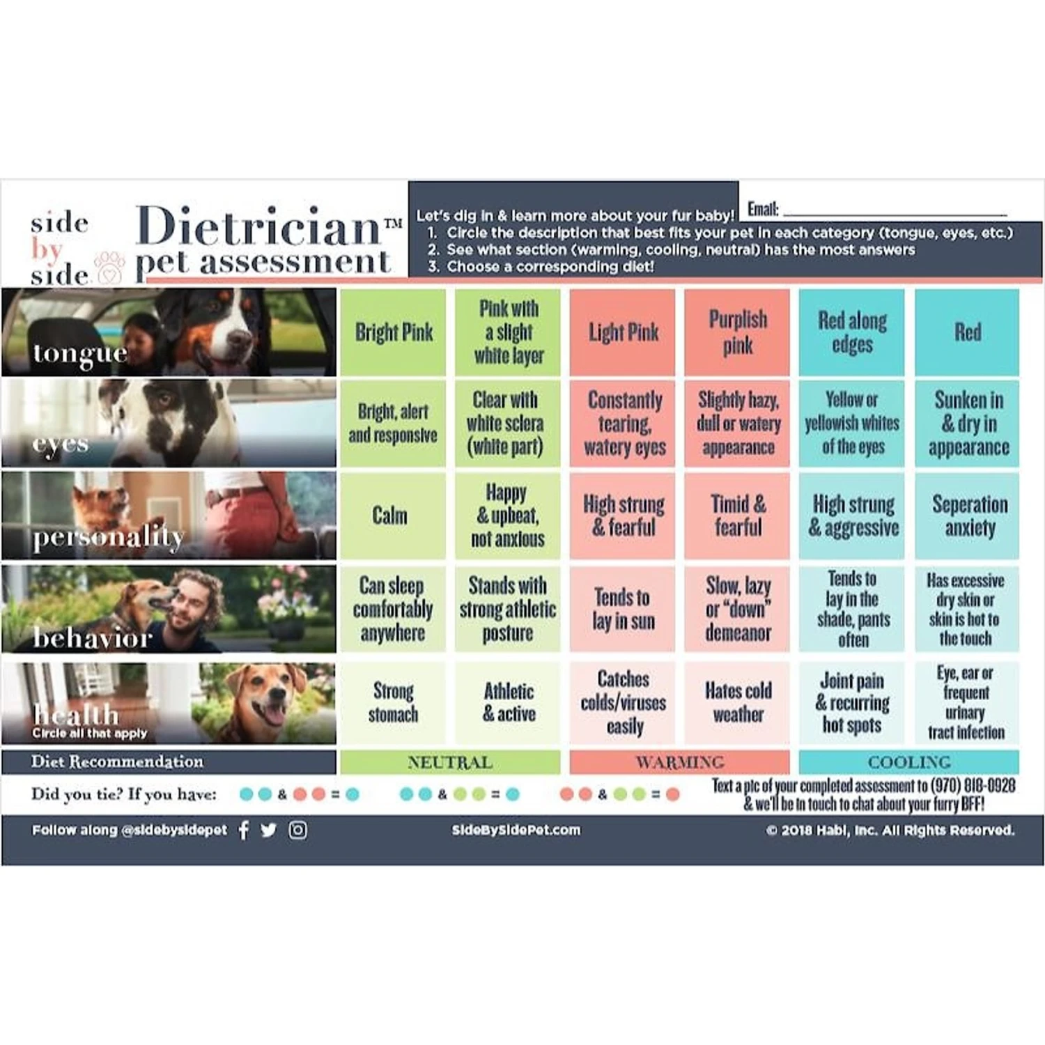 Side By Side Chicken Hearts Freeze-Dried Dog & Cat Treats, 2.5-oz Bag 5 Side By Side Chicken Hearts Freeze-Dried Dog & Cat Treats, 2.5-oz Bag - Image 3