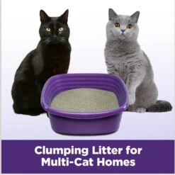 Arm & Hammer Litter Slide Multi-Cat Scented Clumping Clay Cat Litter -Trixie || Catit || Nature's Miracle Shop 207535 PT5. AC SS1800 V1676491992