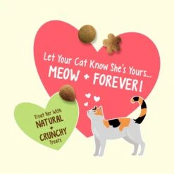 Friskies Party Mix Natural Yums Catnip Flavor Cat Treats -Trixie || Catit || Nature's Miracle Shop 208287 PT2. AC SS1800 V1700156648