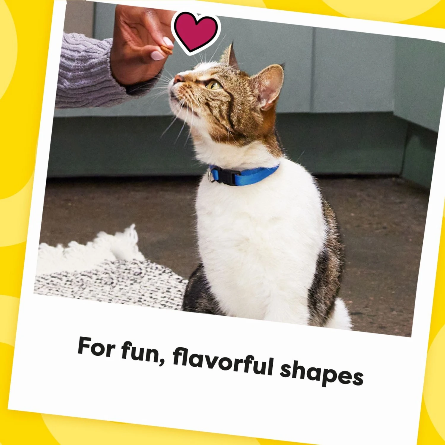 Temptations ShakeUps Clucky Carnival Chicken, Turkey & Catnip Flavor Soft & Crunchy Cat Treats 10 Temptations ShakeUps Clucky Carnival Chicken, Turkey & Catnip Flavor Soft & Crunchy Cat Treats - Image 8