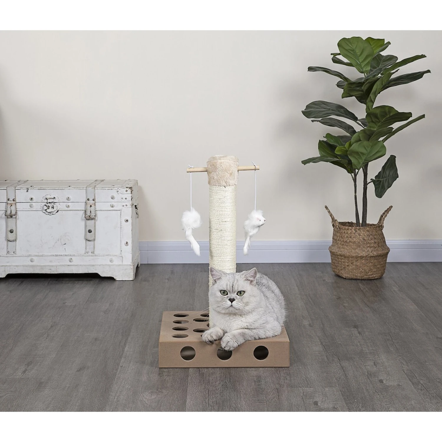 Go Pet Club 20-in IQ Busy Box Cat Scratching Post & Toys, Beige 3 Go Pet Club 20-in IQ Busy Box Cat Scratching Post & Toys, Beige