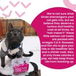 I And Love And You Hair Meow't Hearties Cat Treats, 4-oz Bag -Trixie || Catit || Nature's Miracle Shop 217305 PT2. AC SS1800 V1694286102