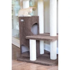 Armarkat 56-in Carpeted Condo Cat Tree, Brown -Trixie || Catit || Nature's Miracle Shop 219018 PT4. AC SS1800 V1603412798