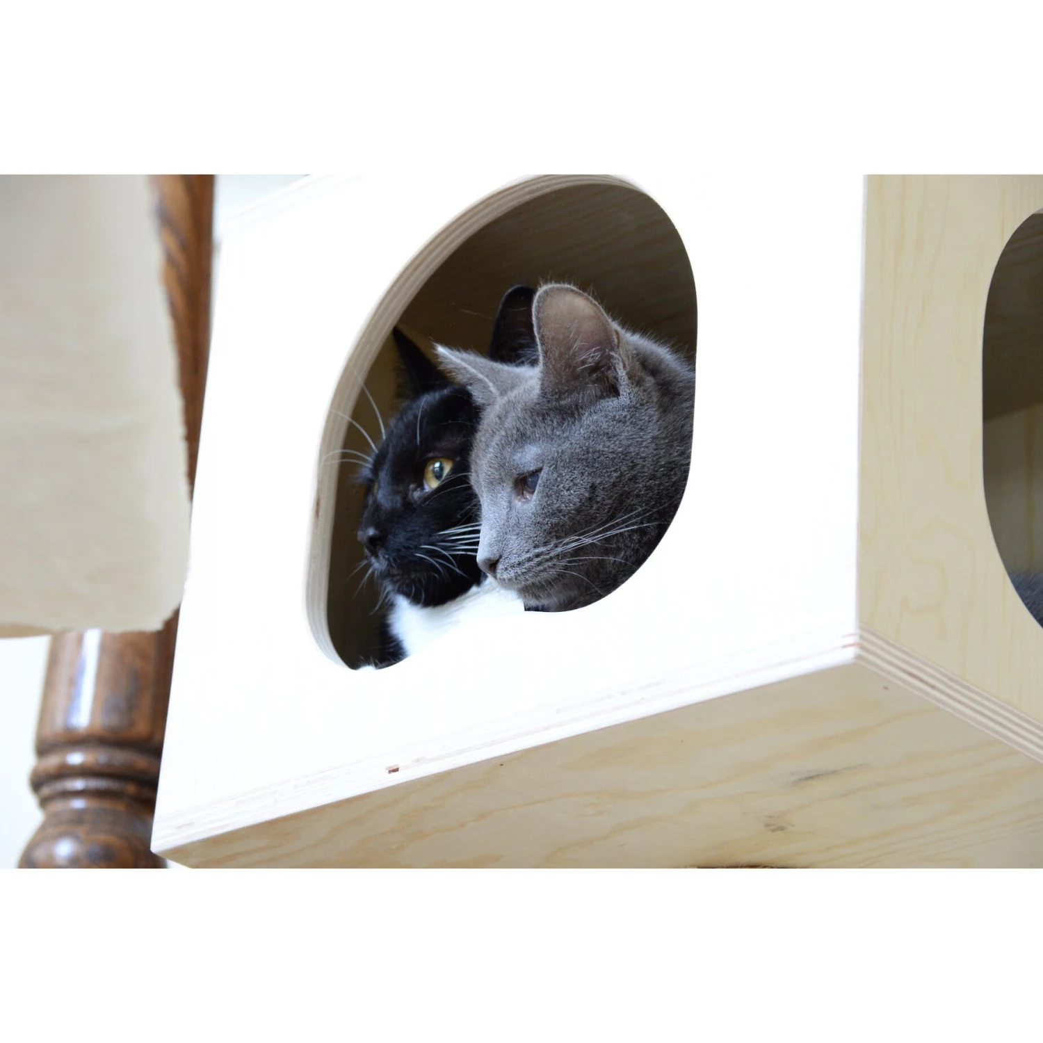 Armarkat 89-in Premium Scots Pine Cat Tree Tower 9 Armarkat 89-in Premium Scots Pine Cat Tree Tower - Image 7