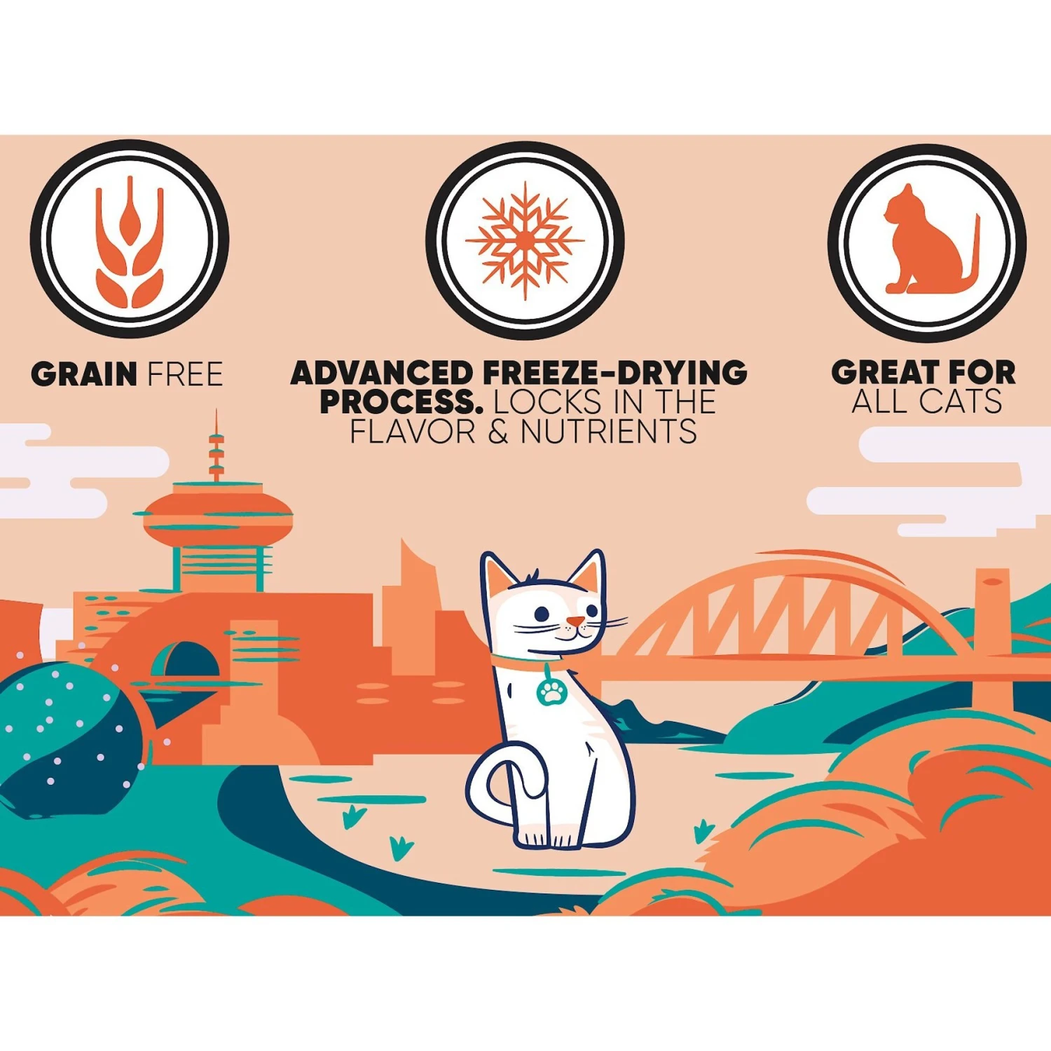 Great Jack's Salmon Freeze-Dried Grain-Free Cat Treats 6 Great Jack's Salmon Freeze-Dried Grain-Free Cat Treats - Image 4