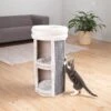 TRIXIE 2-Story Mexia Tower Cat Condo -Trixie || Catit || Nature's Miracle Shop 221564 main. AC SS1800 V1582054983