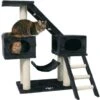 TRIXIE Malaga 43" Plush Cat Tree & Condo 2 TRIXIE Malaga 43" Plush Cat Tree & Condo -Trixie || Catit || Nature's Miracle Shop 221650 main. AC SS1800 V1582055279