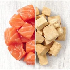 American Journey 100% Salmon Freeze-Dried Grain-Free Cat Treat -Trixie || Catit || Nature's Miracle Shop 224440 PT4. AC SS1800 V1606190509