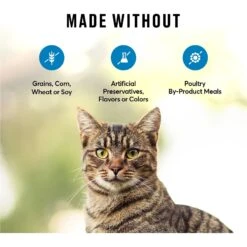 American Journey 100% Salmon Freeze-Dried Grain-Free Cat Treat -Trixie || Catit || Nature's Miracle Shop 224440 PT7. AC SS1800 V1607585576