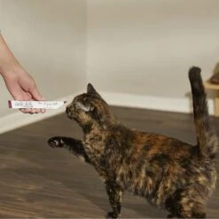 Caru Daily Dish Smoothies Chicken Flavored Lickable Cat Treats -Trixie || Catit || Nature's Miracle Shop 227863 PT3. AC SS1800 V1593201384