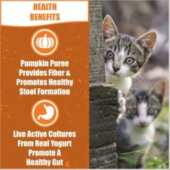 Whole Life Living Treats Chicken Recipe Freeze-Dried Cat Treats, 1.5-oz Bag -Trixie || Catit || Nature's Miracle Shop 229280 PT2. AC SS1800 V1673989088