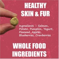 Whole Life Living Treats Salmon Recipe Freeze-Dried Cat Treats, 1-oz Bag -Trixie || Catit || Nature's Miracle Shop 229282 PT1. AC SS1800 V1673989087