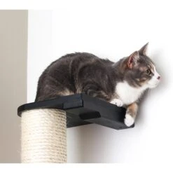 CatastrophiCreations Sisal Cat Climbing Pole 12 CatastrophiCreations Sisal Cat Climbing Pole -Trixie || Catit || Nature's Miracle Shop 229621 PT2. AC SS1800 V1645488542