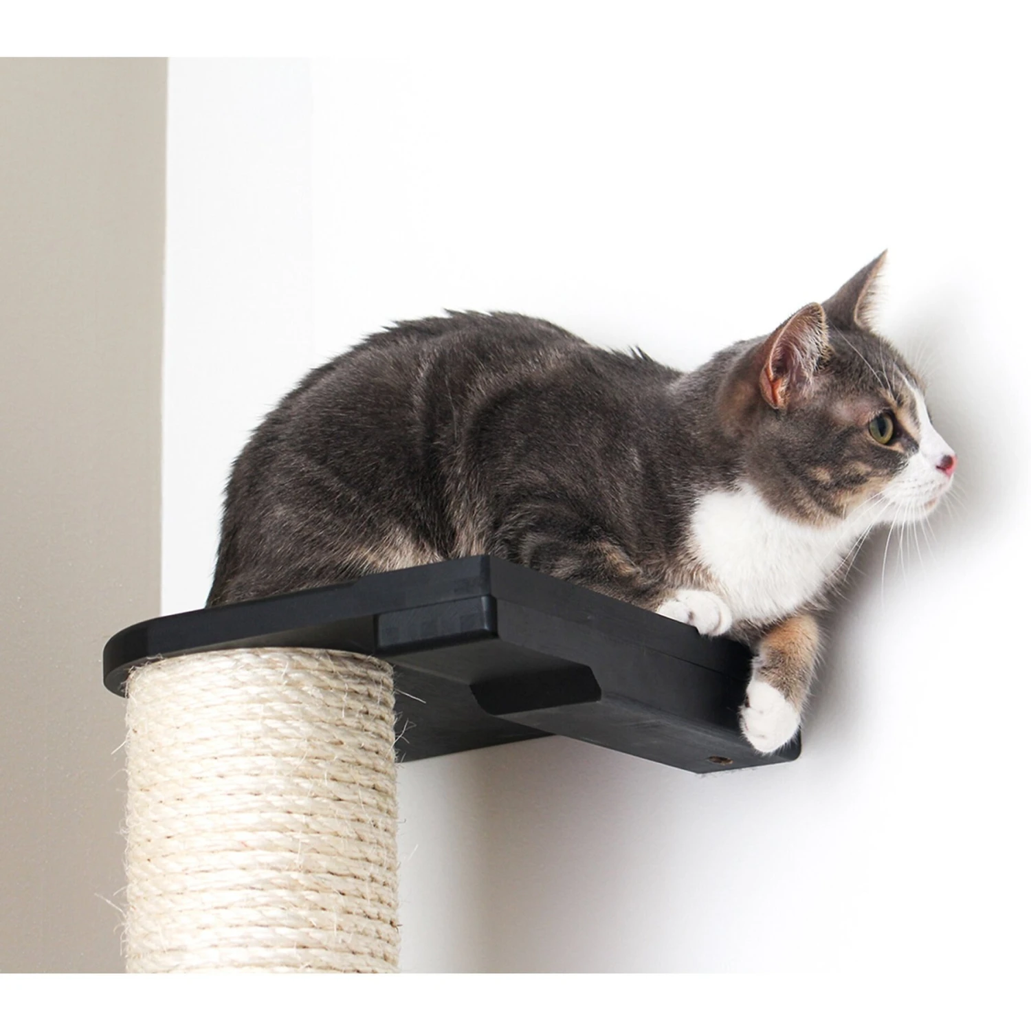 CatastrophiCreations Sisal Cat Climbing Pole 5 CatastrophiCreations Sisal Cat Climbing Pole - Image 3