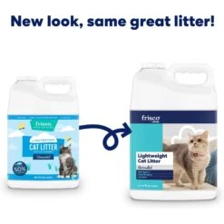 Frisco Lightweight Unscented Clumping Cat Litter -Trixie || Catit || Nature's Miracle Shop 230716 PT1. AC SS1800 V1657656284