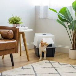 IRIS USA Enclosed With Front Door Flap & Scoop Cat Litter Box 16 IRIS USA Enclosed With Front Door Flap & Scoop Cat Litter Box -Trixie || Catit || Nature's Miracle Shop 231660 PT5. AC SS1800 V1680811968