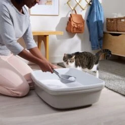 Frisco Micro Crystal Unscented Clumping Crystal Cat Litter 13 Frisco Micro Crystal Unscented Clumping Crystal Cat Litter -Trixie || Catit || Nature's Miracle Shop 232119 PT4. AC SS1800 V1660944685