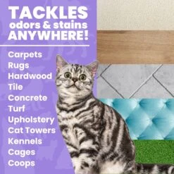 Unique Pet Care Sweet Tangerine Cat Odor + Stain Remover, 24-oz Bottle -Trixie || Catit || Nature's Miracle Shop 232913 PT2. AC SS1800 V1700689208