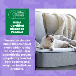 Unique Pet Care Sweet Tangerine Cat Odor + Stain Remover, 24-oz Bottle -Trixie || Catit || Nature's Miracle Shop 232913 PT6. AC SS1800 V1700689359